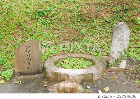 沖縄 沖縄 28794606