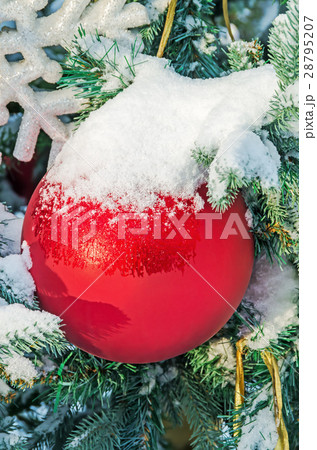 Christmas Ornaments 28795207