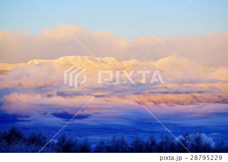 高ボッチ高原 28795229