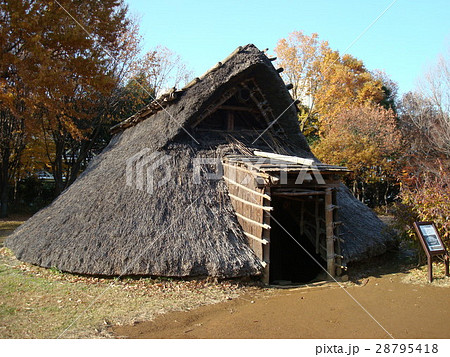 大塚遺跡（大塚・歳勝土遺跡公園） 28795418