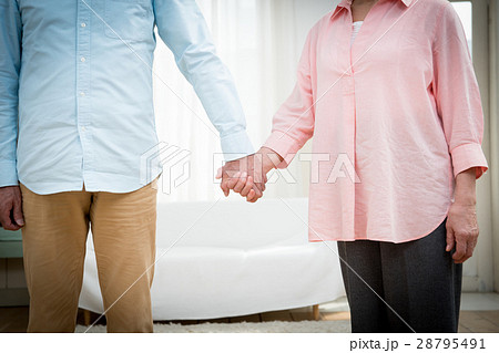 シニアの夫婦 28795491