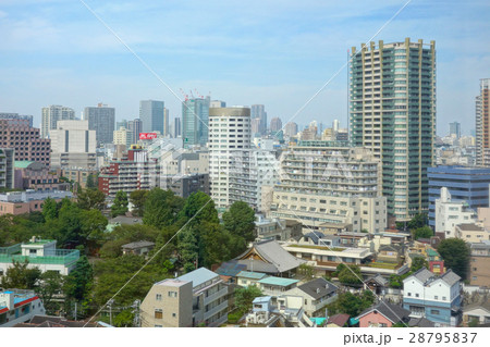 大崎　五反田　街並み　 28795837