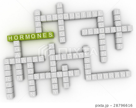 3d image Hormones issues concept word cloud 28796616