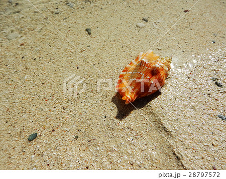 波打ち際 28797572