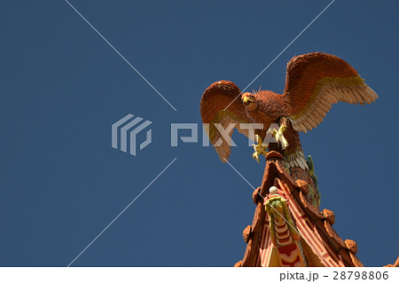 台湾 小谷 北区 28798806