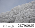 御在所の樹氷 28798985