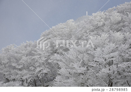 御在所の樹氷 28798985