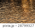 揺らぐ水面 28799327