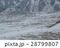 雪山に歩く人 28799807