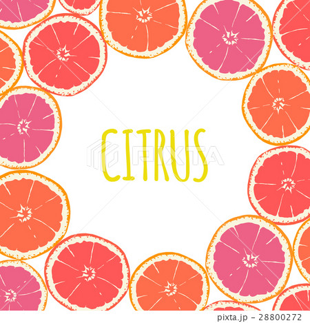 Fruit frame with isolated hand drawn citruses Fruit frame with isolated hand drawn citruses 28800272