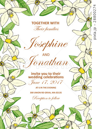 Vector wedding invitation with floral background Vector wedding invitation with floral background 28800274