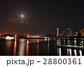山下公園の夜景 28800361