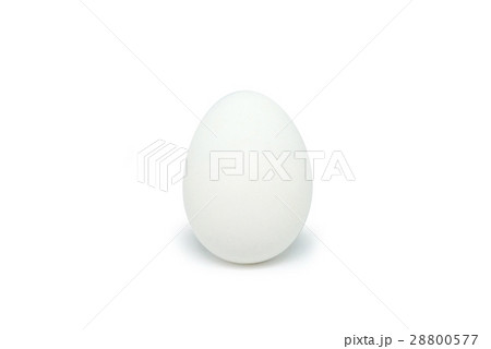 one white egg, isolated on white background 28800577