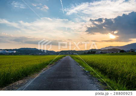 田舎の風景-三重 28800925