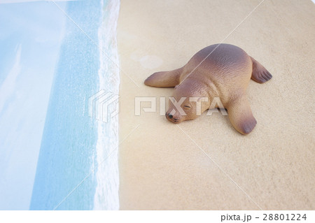 plastic sea lion toy with figure 28801224