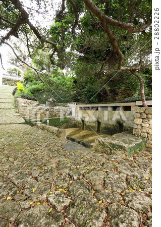 仲村渠樋川 仲村渠樋川 28802226