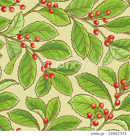 yerba mate pattern 28802335