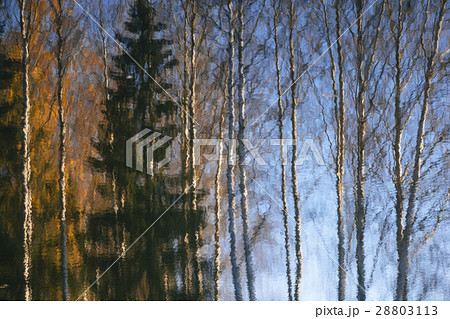 Autumnal trees reflections in river landscape 28803113