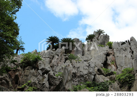 大石林山 28803293