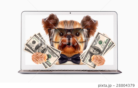 Funny dogs sitting inside laptop. Business concept Funny dogs sitting inside laptop. Business concept 28804379