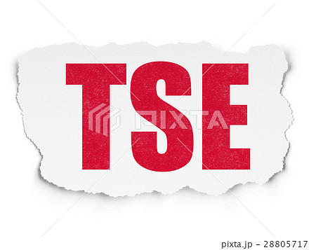 Stock market indexes concept: TSE on Torn Paper Stock market indexes concept: TSE on Torn Paper 28805717
