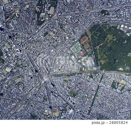 渋谷周辺上空／真俯瞰，Aerial view 28805824