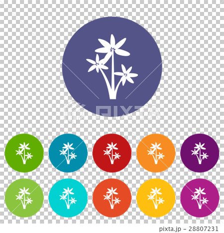 Palm tree set icons 28807231