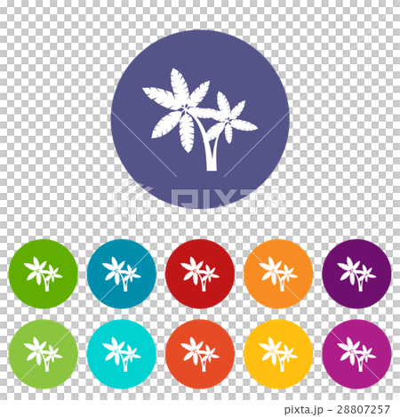 Palma set icons - Stock Illustration [28807257] - PIXTA