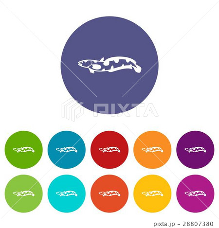 Anarhichas fish set icons Anarhichas fish set icons 28807380
