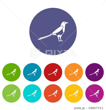Bird magpie set icons 28807551