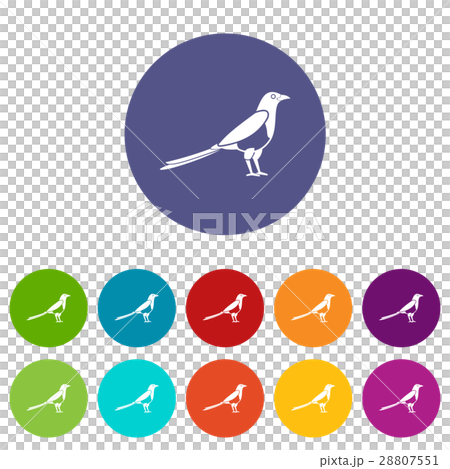 Bird magpie set icons 28807551