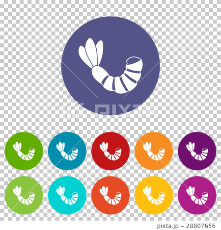 Shrimp set icons Shrimp set icons 28807656