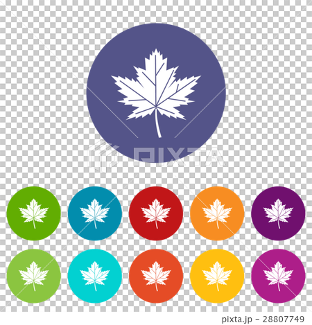 Maple leaf set icons Maple leaf set icons 28807749