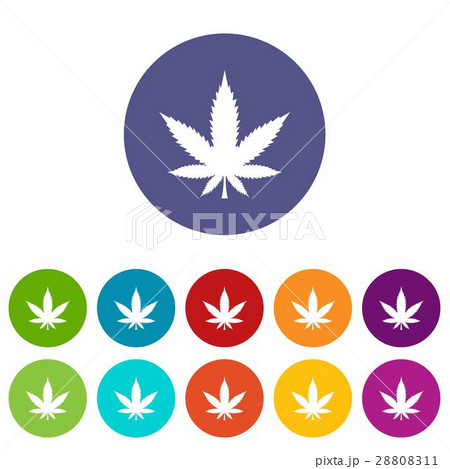 Cannabis leaf set icons Cannabis leaf set icons 28808311