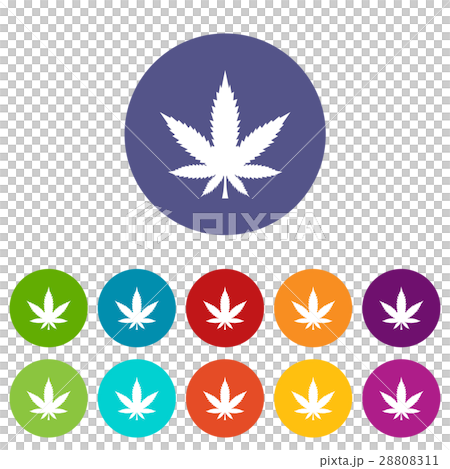 Cannabis leaf set icons Cannabis leaf set icons 28808311