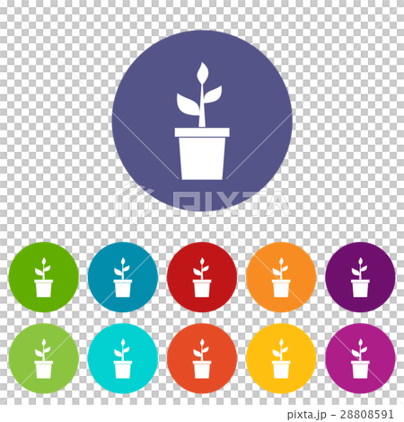 Plant in clay pot set icons Plant in clay pot set icons 28808591