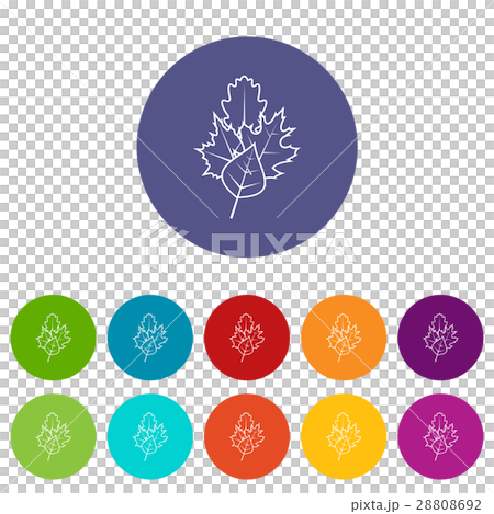 Leaves set icons Leaves set icons 28808692