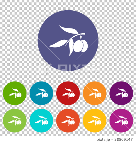 Olive tree branch with two olives set icons Olive tree branch with two olives set icons 28809147