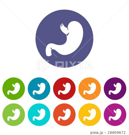 Stomach set icons 28809672