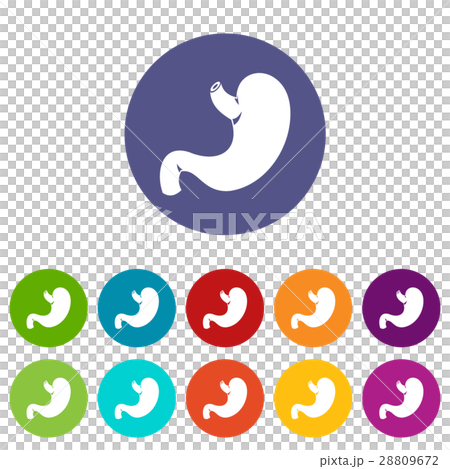Stomach set icons Stomach set icons 28809672