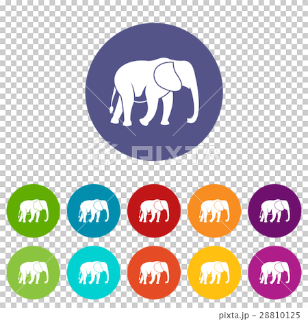 Wild elephant set icons Wild elephant set icons 28810125