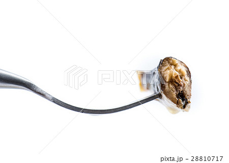 オイルサーディン 28810717