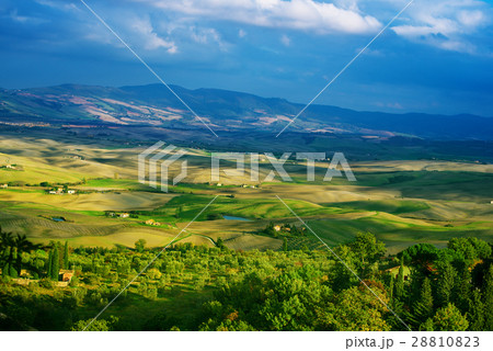 Wavy fields in Tuscany 28810823