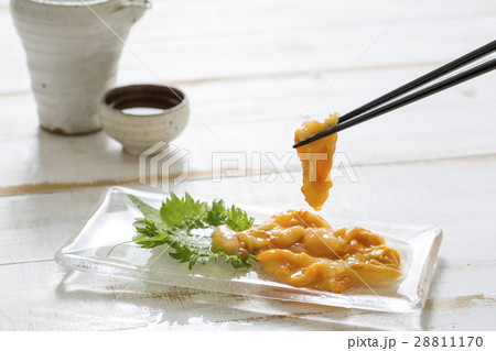 ホヤ ホヤ 28811170