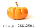 ハロウィンカボチャ 白バック ハロウィンカボチャ 白バック 28812501