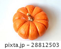 アメリカ パンプキン ハロウィン アメリカ パンプキン ハロウィン 28812503