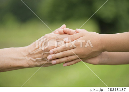 手と手 28813187