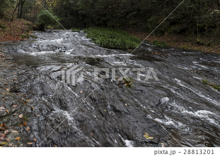 遊水峡 ゆうすい自然の森 遊水峡 ゆうすい自然の森 28813201