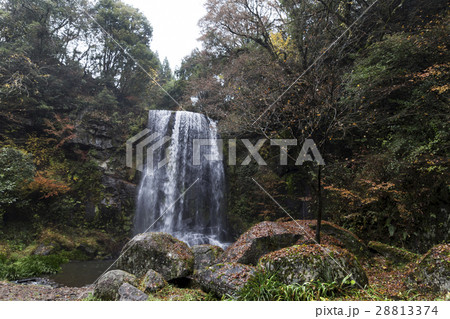 遊水峡 ゆうすい自然の森 28813374