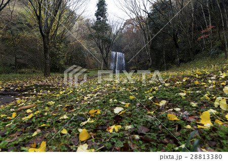 遊水峡 ゆうすい自然の森 遊水峡 ゆうすい自然の森 28813380